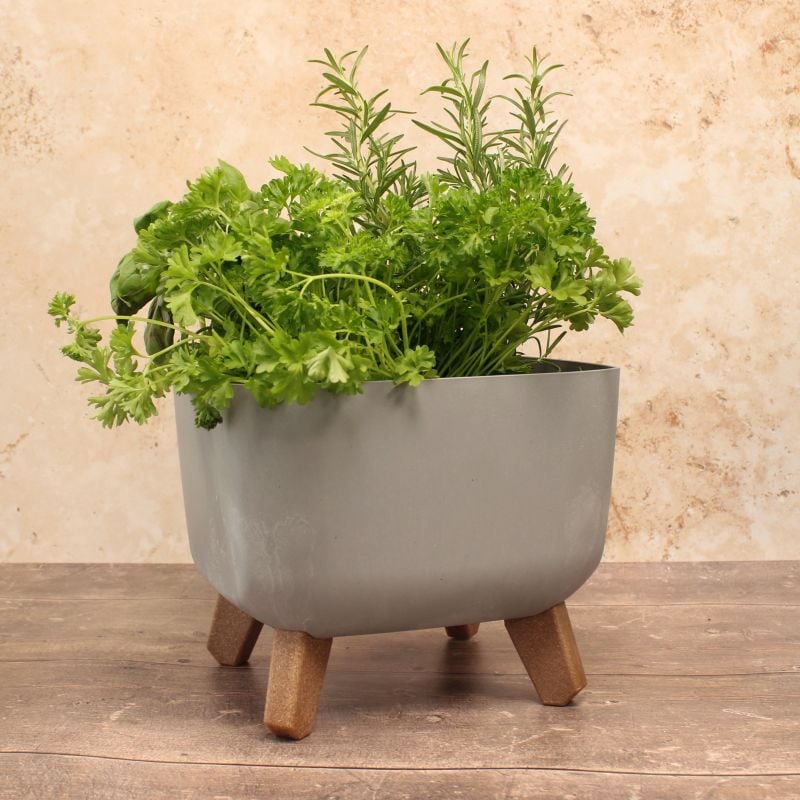 Square concrete effect plant pot with plants growing in it