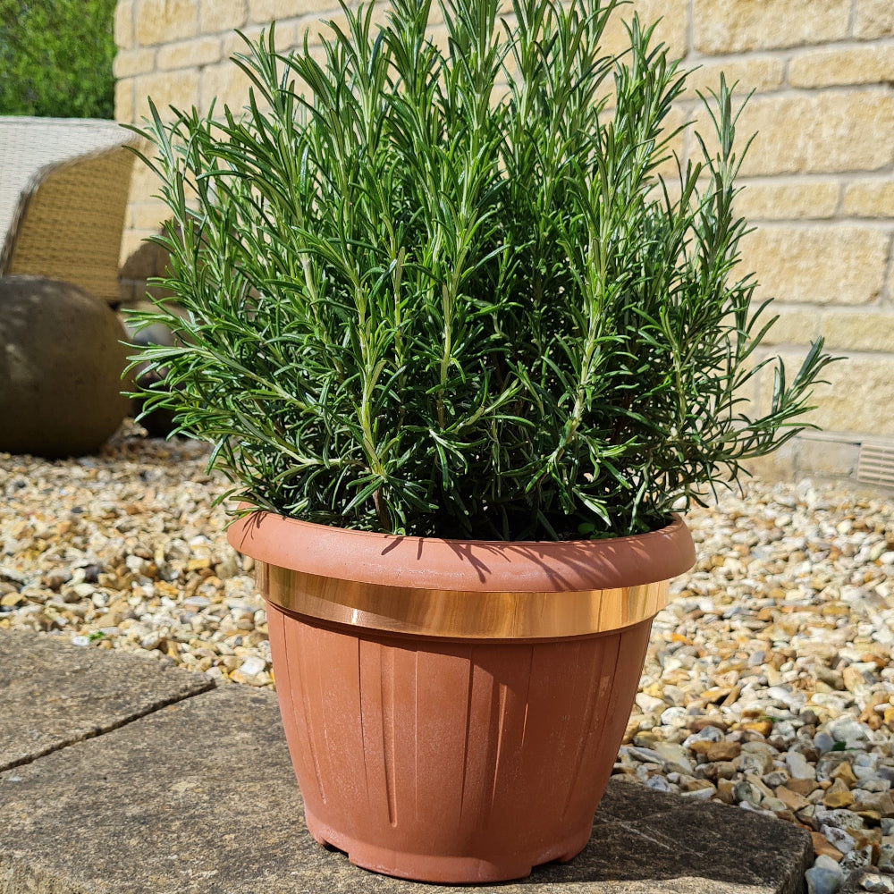 copper slug and snail tape repellent