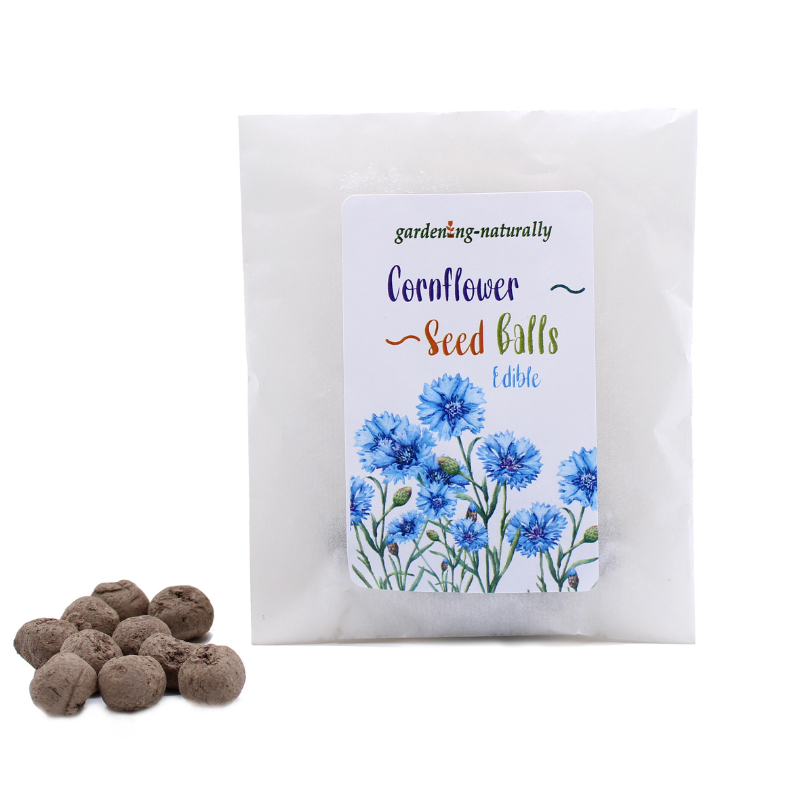 Wildflower Seedballs – Bee Friendly Mix