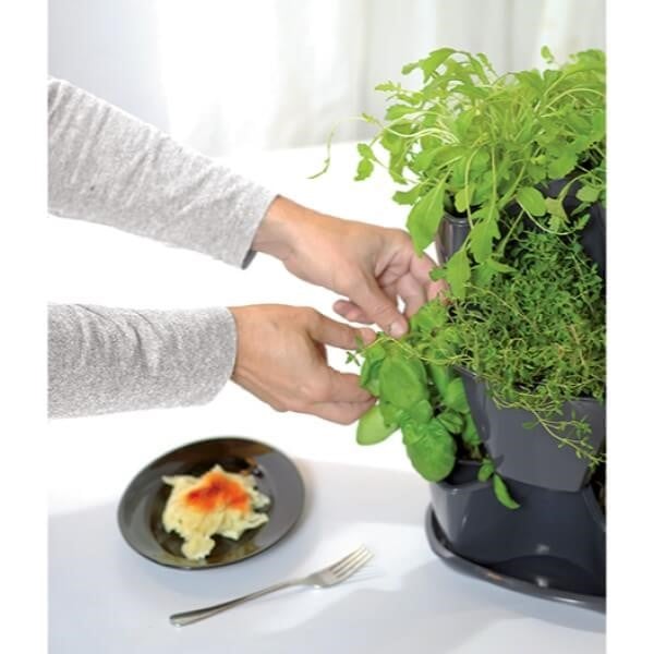 Coubi Herb Planter – Kitchen Windowsill Pot
