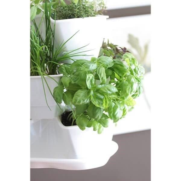 Coubi Herb Planter – Kitchen Windowsill Pot