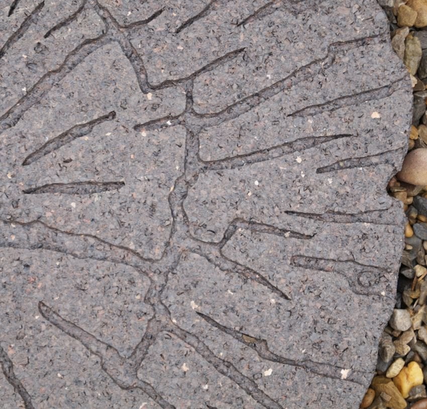 Cracked log garden stepping stones
