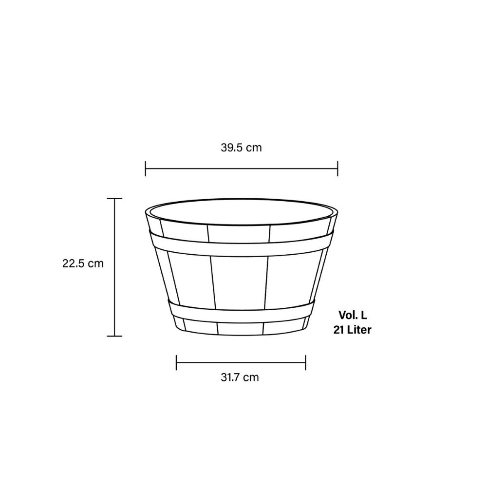Crocus barrel dimensions