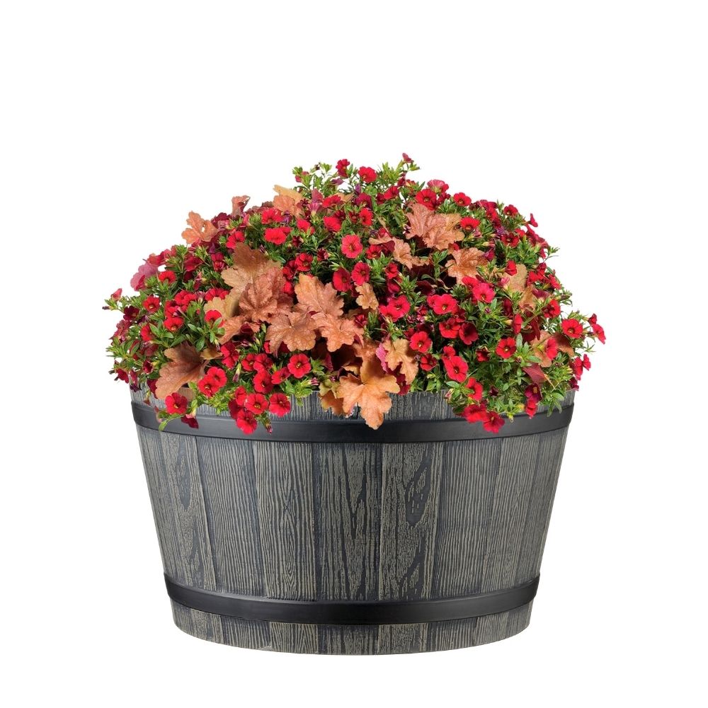 crocus planter light grey