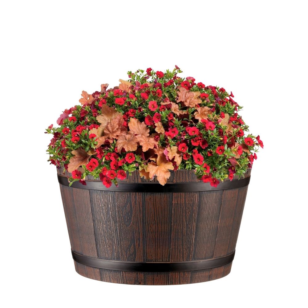 crocus planter red wine