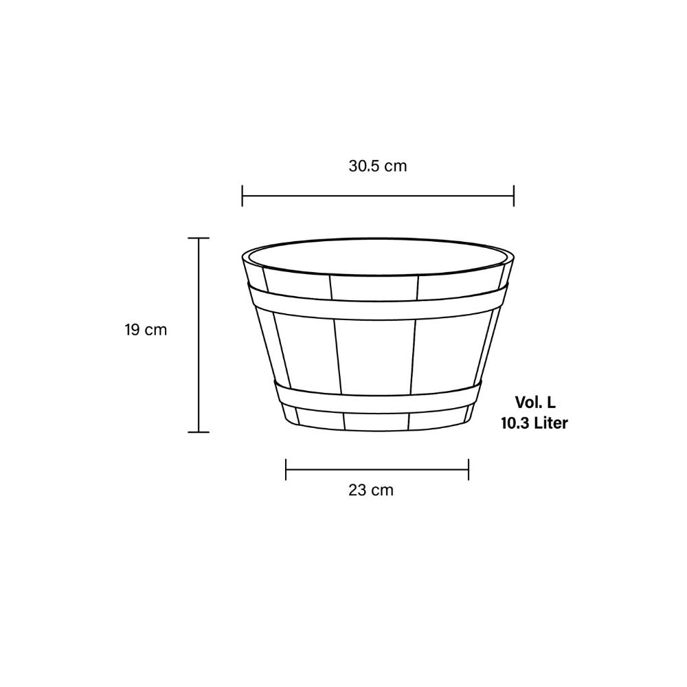 crocus planter small dimensions