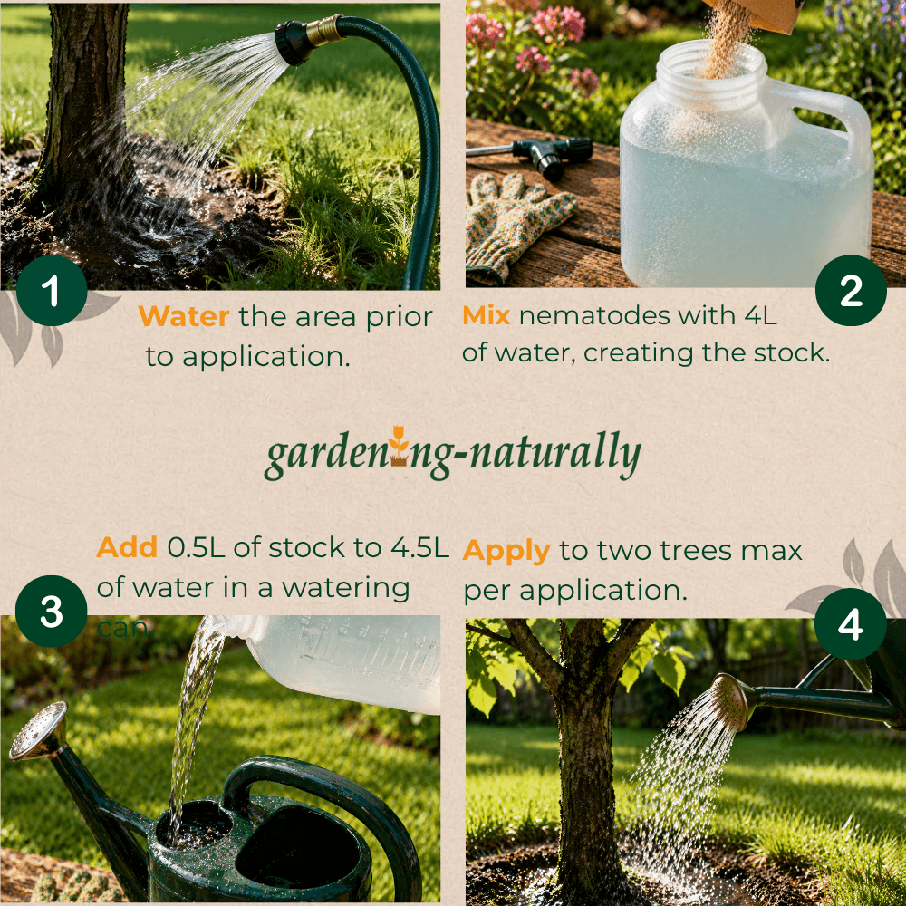Step-by-step guide for using nematodes in gardening with images and text.