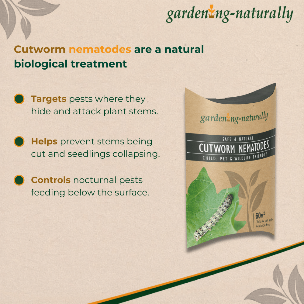 Package of cutworm nematodes with text about their benefits on a beige background.