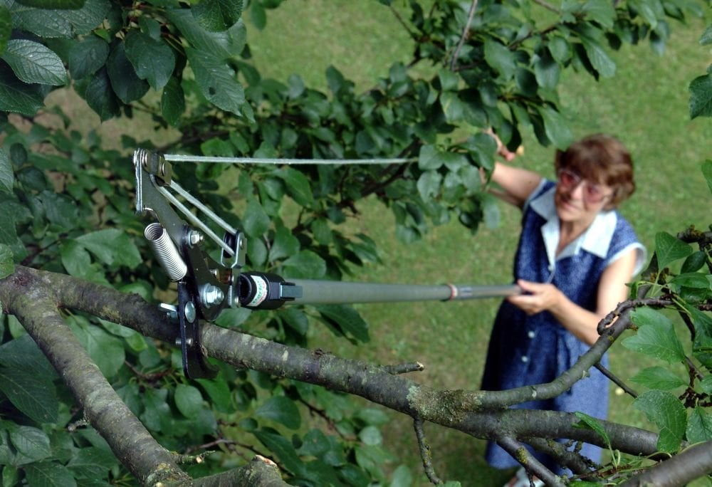 darlac geared tree pruner head for garden maintenance