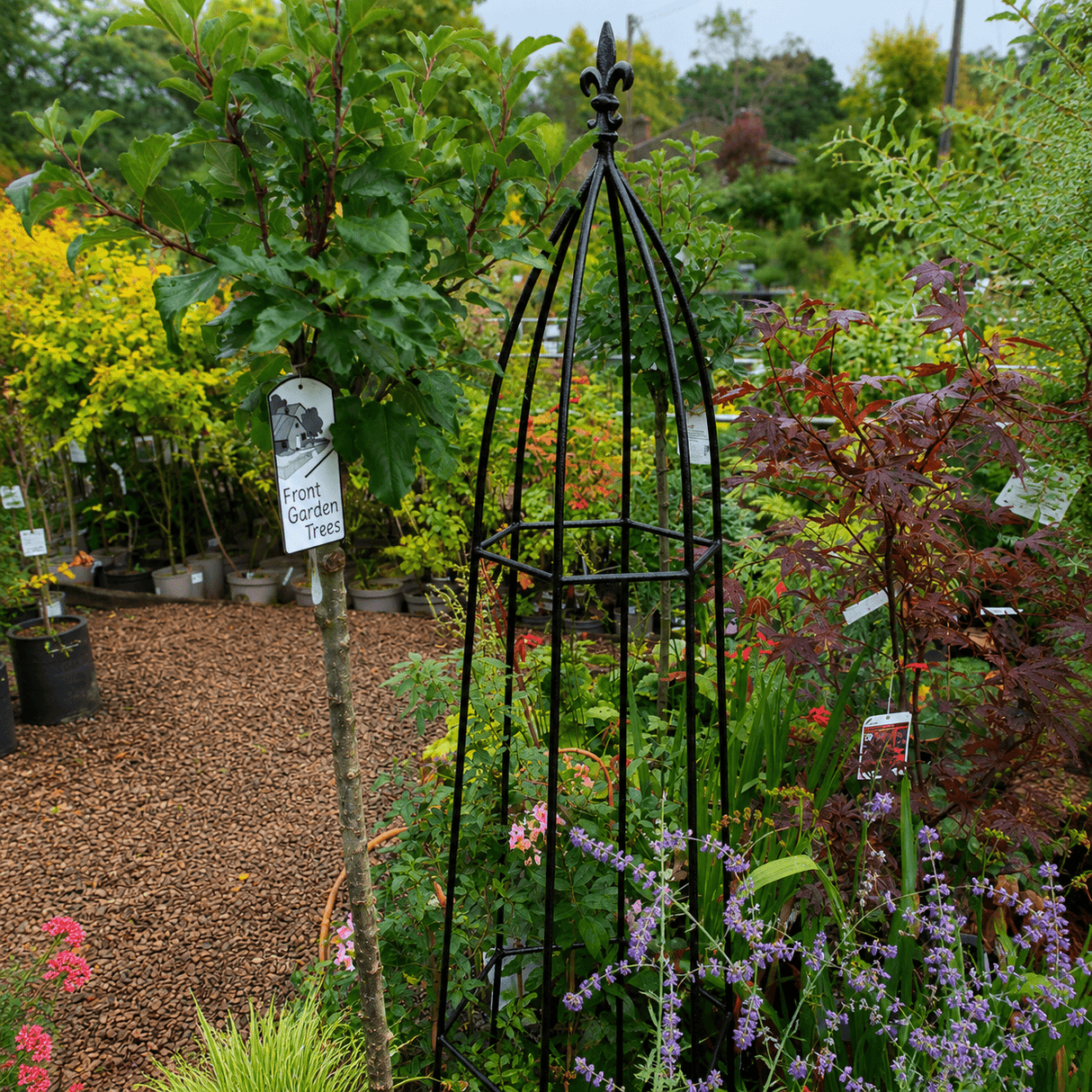 Decorative metal garden obelisk in a garden setting with plants and flowers.