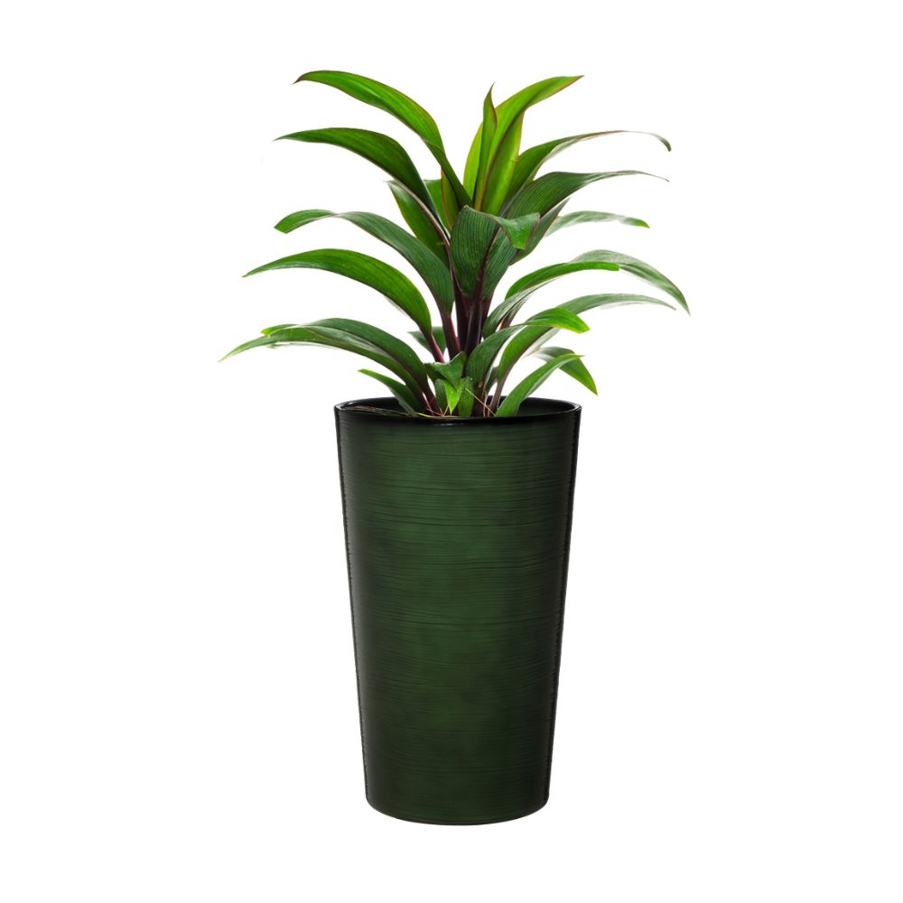 balata deep green garden planter