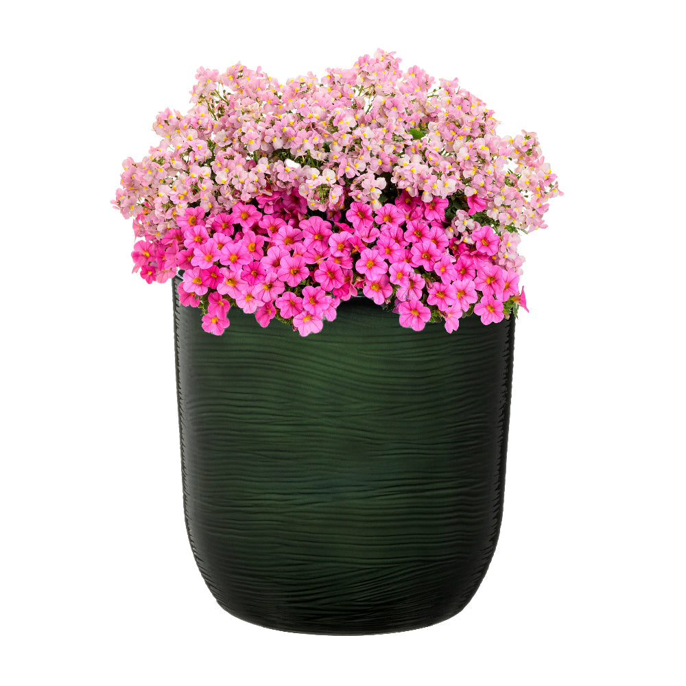 deep green cactus garden plant pot with pink flowers