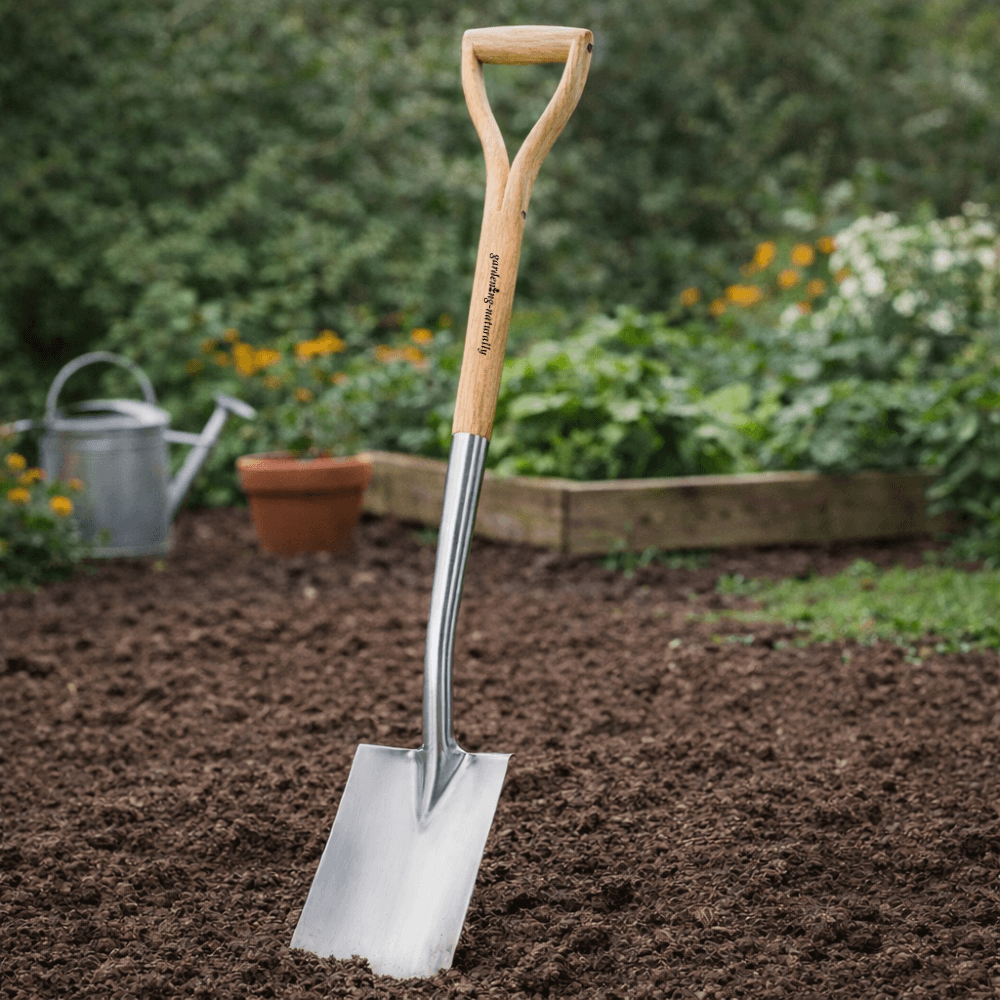 Garden digging spade with wooden handle and stainless steel blade standing in soil, used for digging and preparing garden beds
