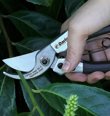 Compact Pruner – Mini Garden Shears