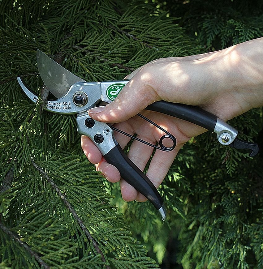 Compact Pruner – Mini Garden Shears