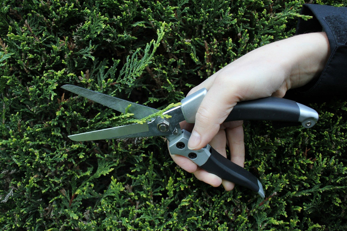 compact hand shears by Darlac cutting tree