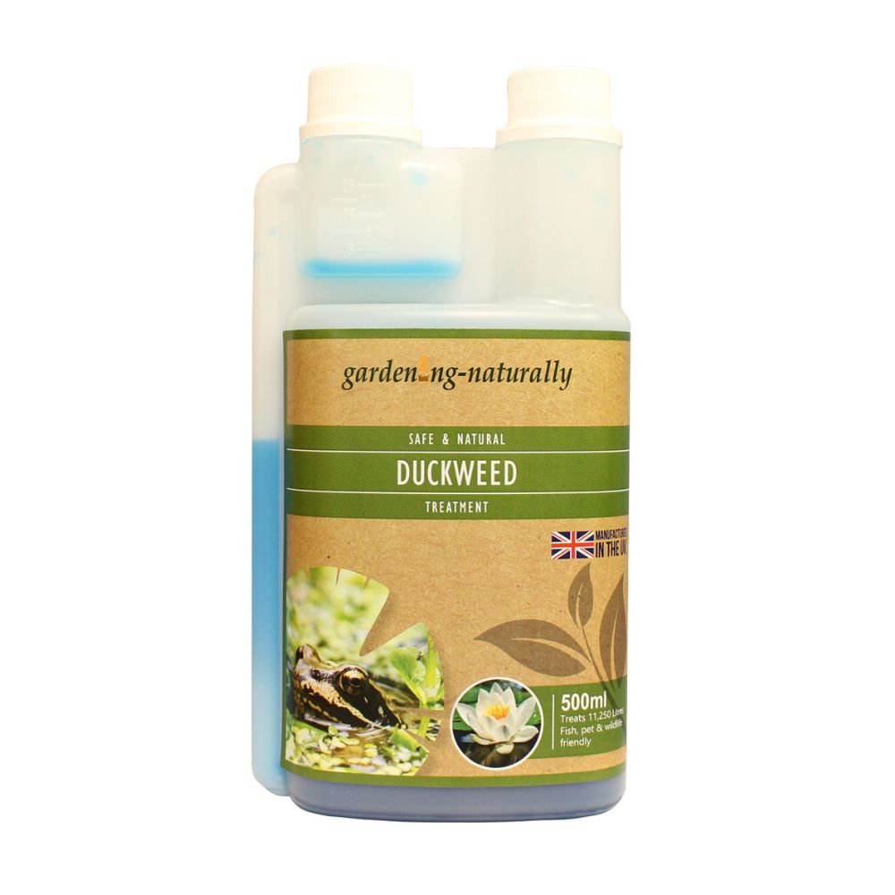 duckweed treatment