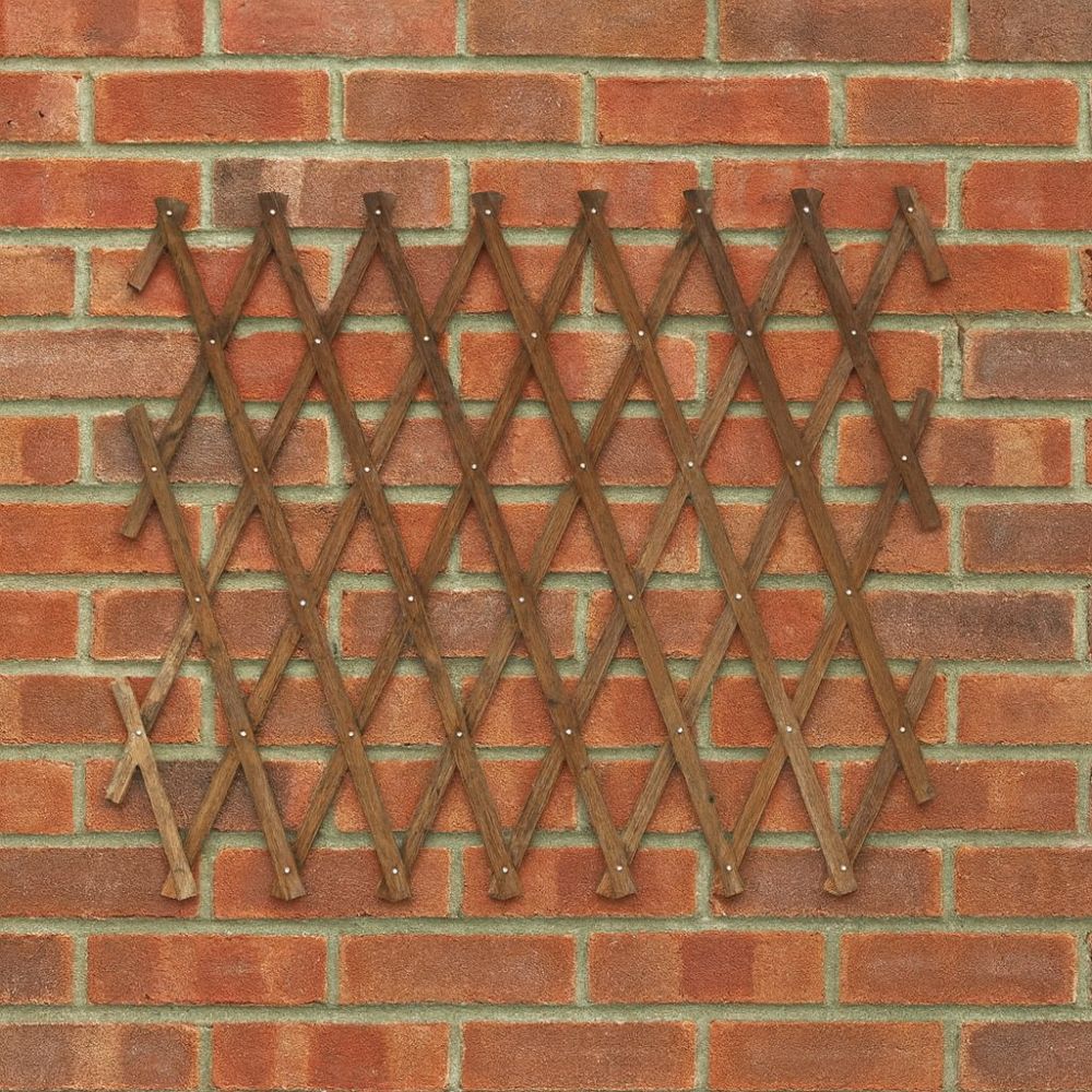 expanding garden trellis on red brick wall