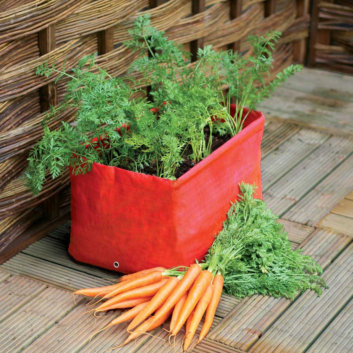 Rectangular orange carrot patio planters with drainage holes, displayed on a wooden surface, accompanied by fresh carrots and greenery.