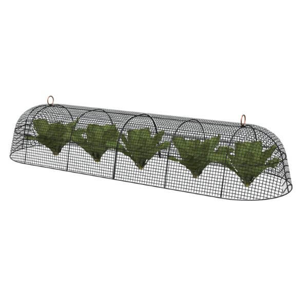 A 2-piece black farmhouse garden cloche set designed to protect plants, displayed against a white background.