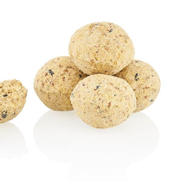 A cluster of beige, ball-shaped bird feed supplements with seeds embedded within them.