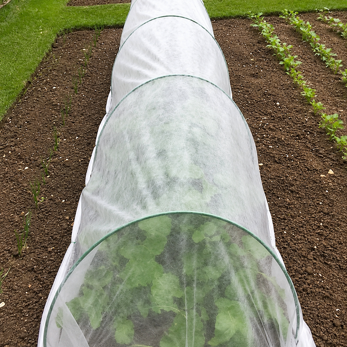 fleece garden tunnel on an allotment
