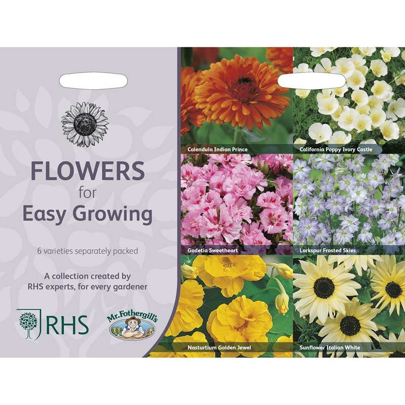 Flowers seeds for easy growing packet