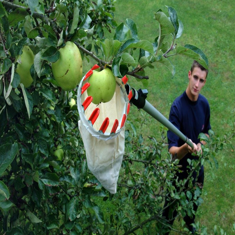 Swop Top Fruit Picking Tool Set Extension