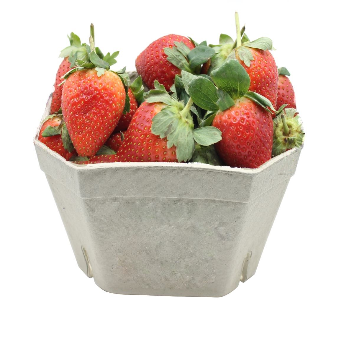 Biodegradable Fruit Punnets Compost Ready