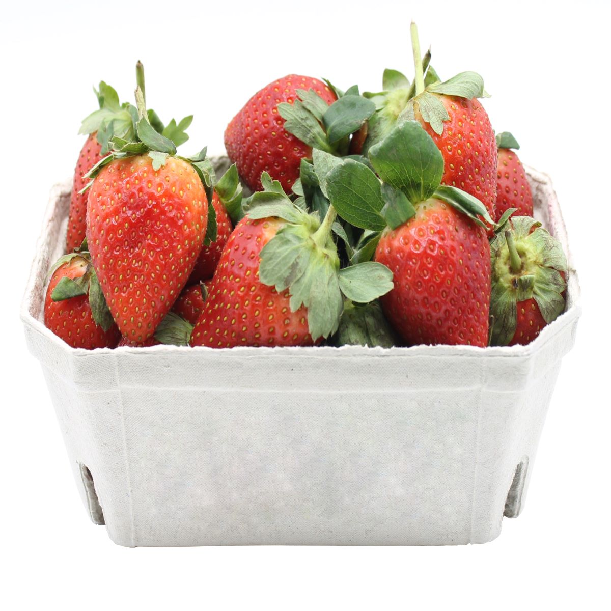 Biodegradable Fruit Punnets Compost Ready