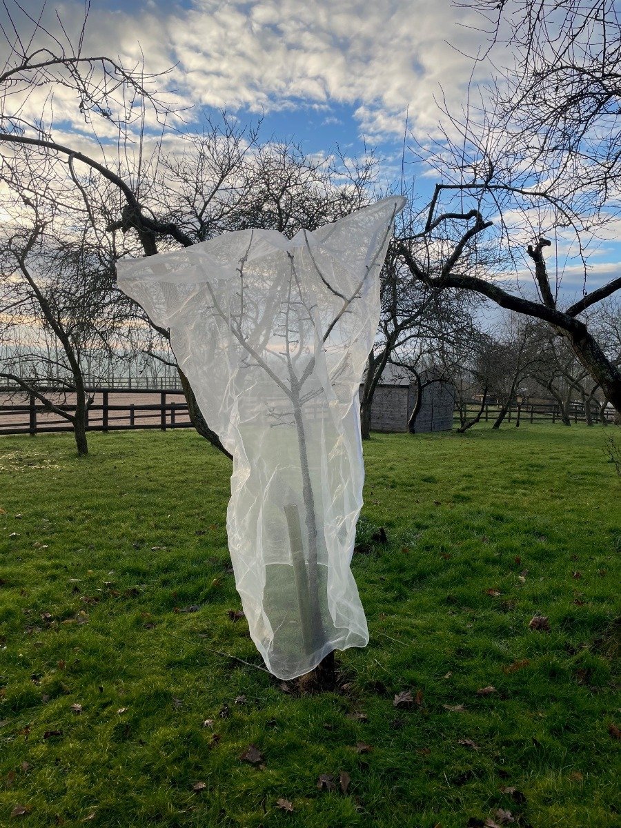 Protective Fruit Tree Netting Bag for Gardens