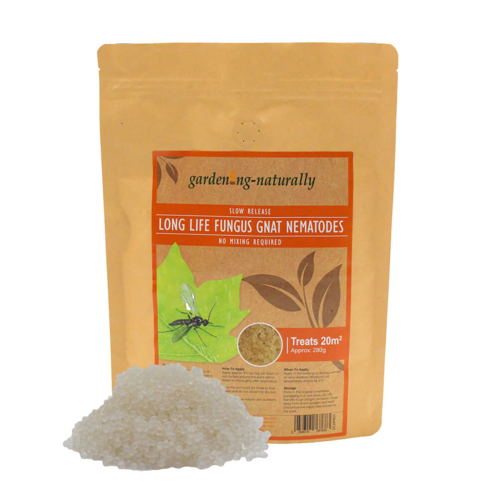 Package of 'gardening naturally' long life fungus gnat nematodes on a white background
