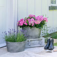 galvanised iron trough