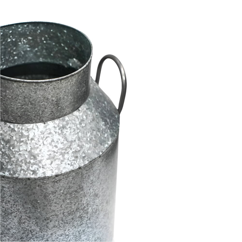 galvanised milk churn planter with handles