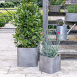 galvanised steel trough outdoors