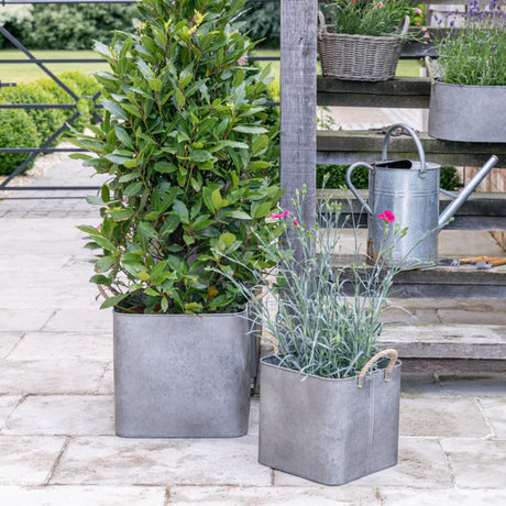 galvanised steel trough outdoors