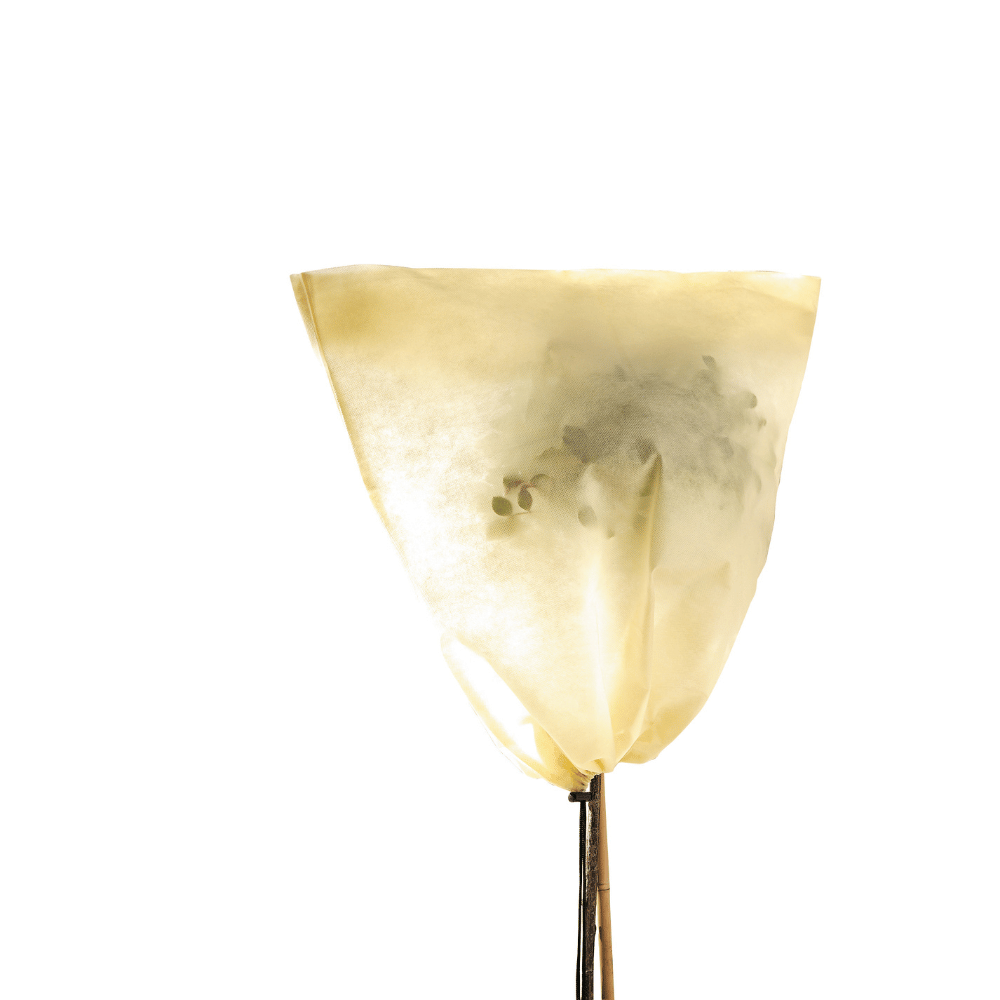 Frost Protection Pot Covering small plant