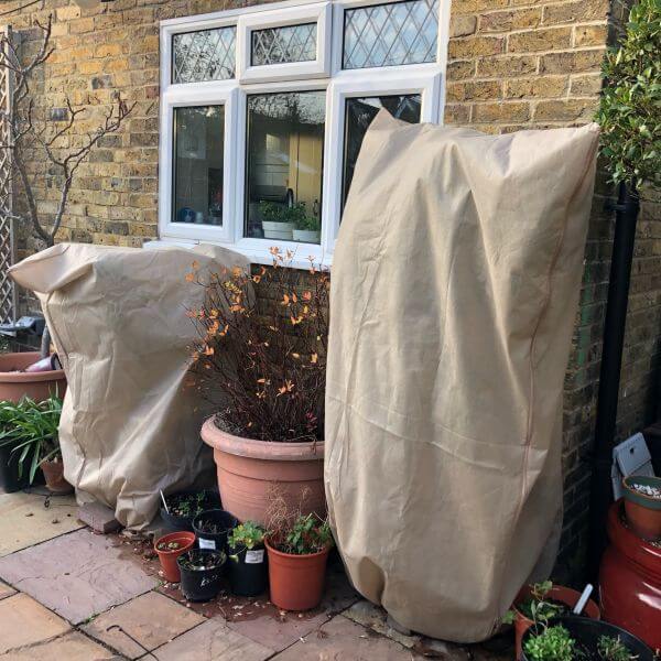 Two beige fleece bag jackets covering potted plants
