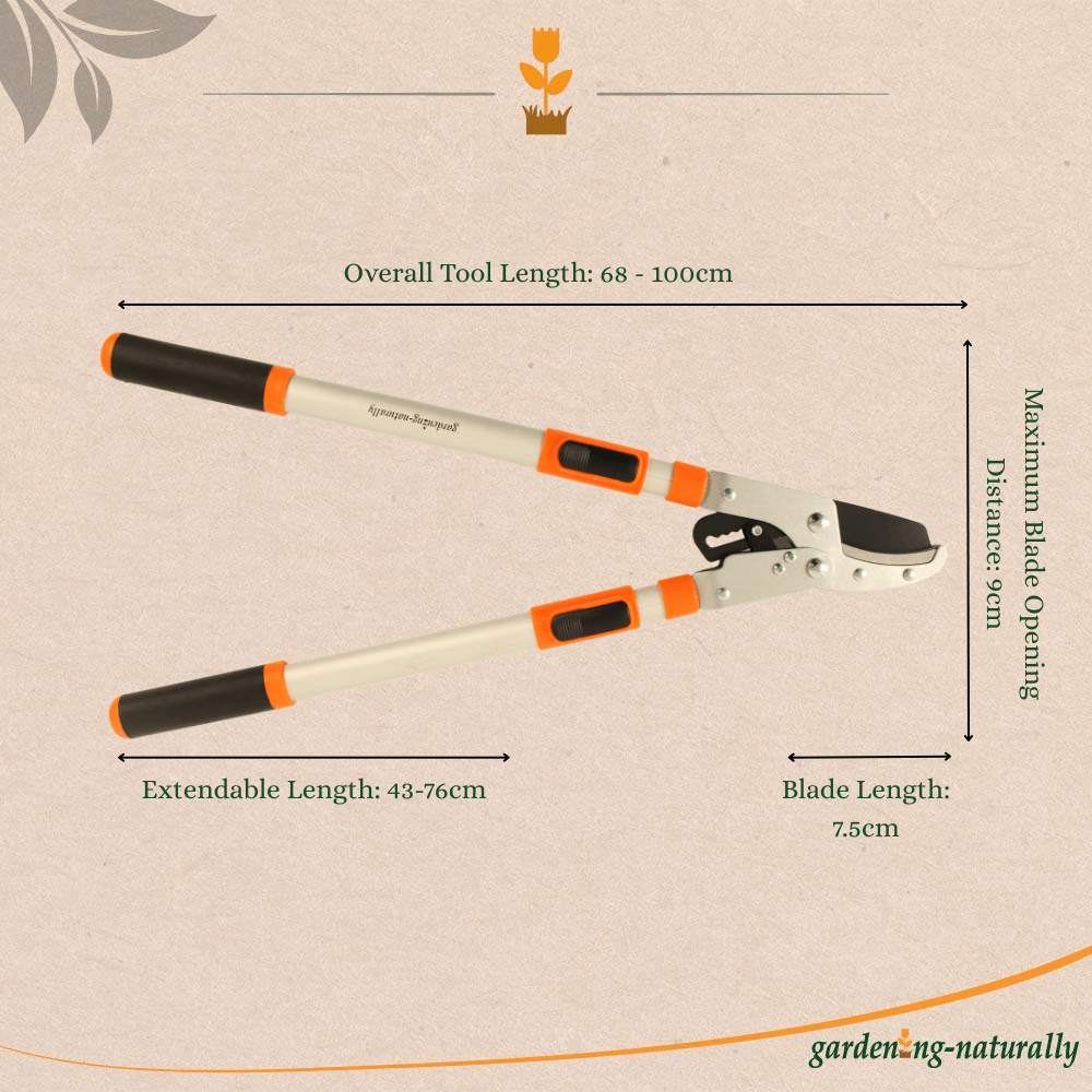 Garden Lopper pruner with measurements on a beige background