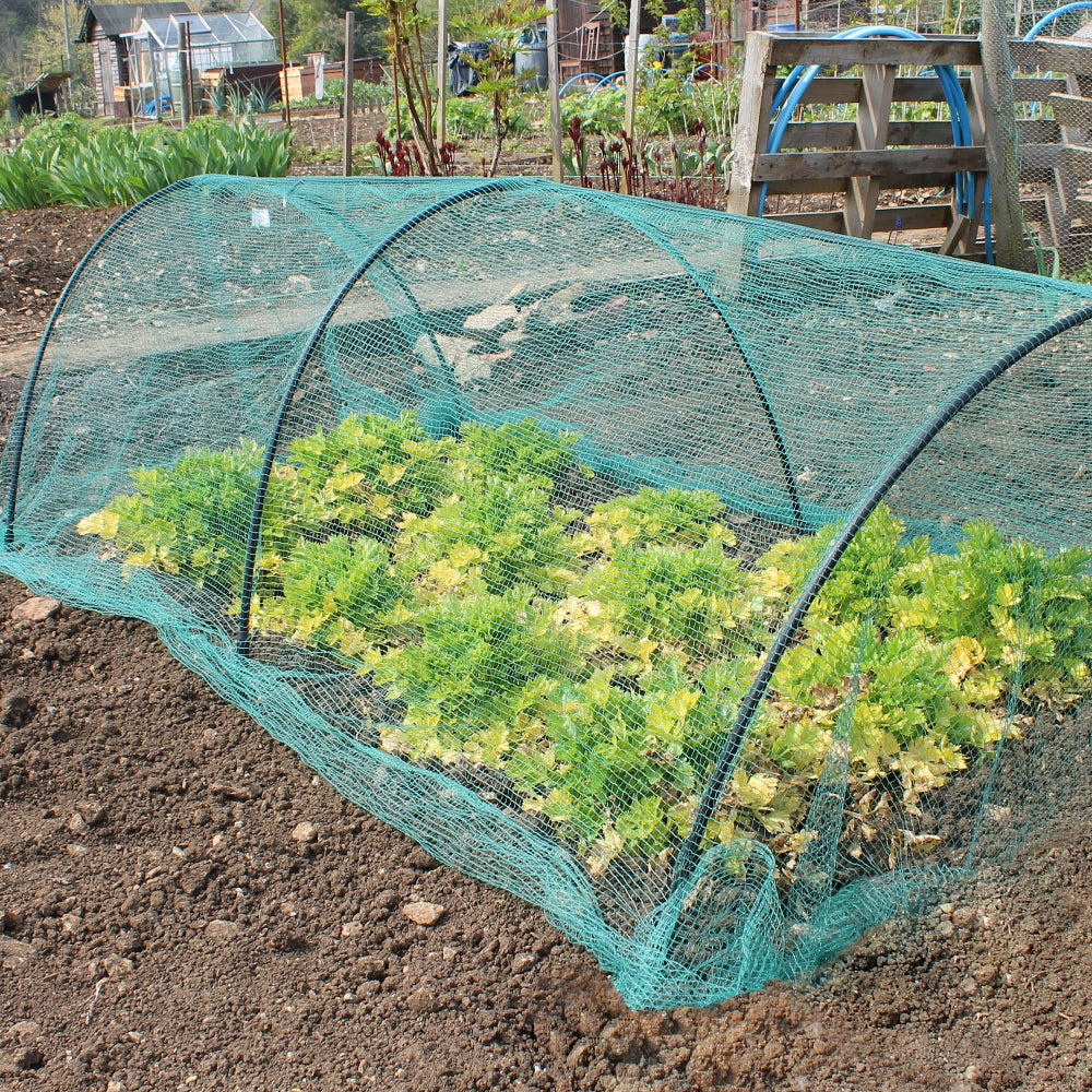 Garden Tunnel with Black hoops side angle