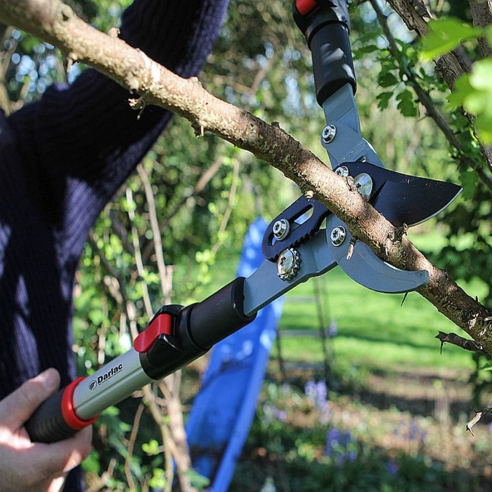 Telescopic lopper being used to cut a tree branch