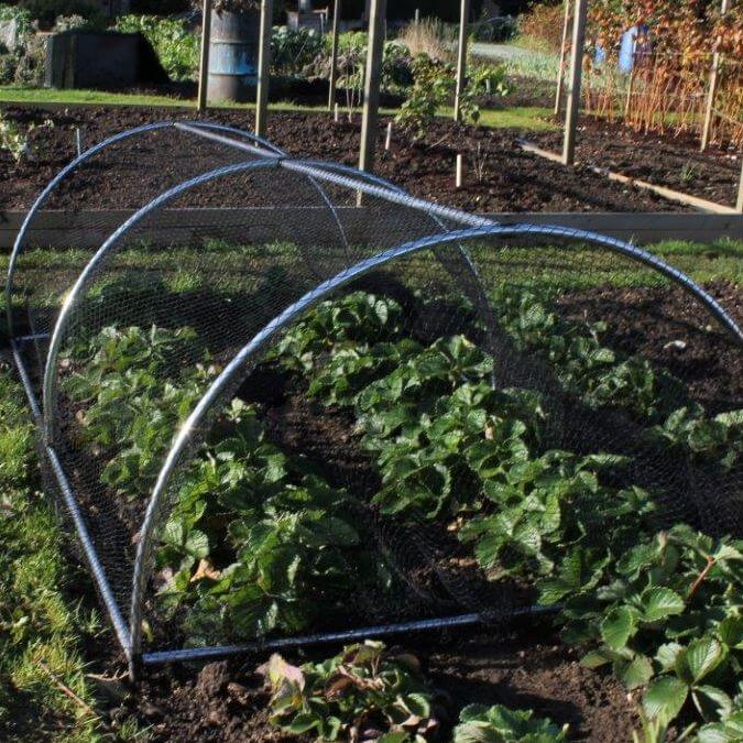 garden tunnel aluminium hoops