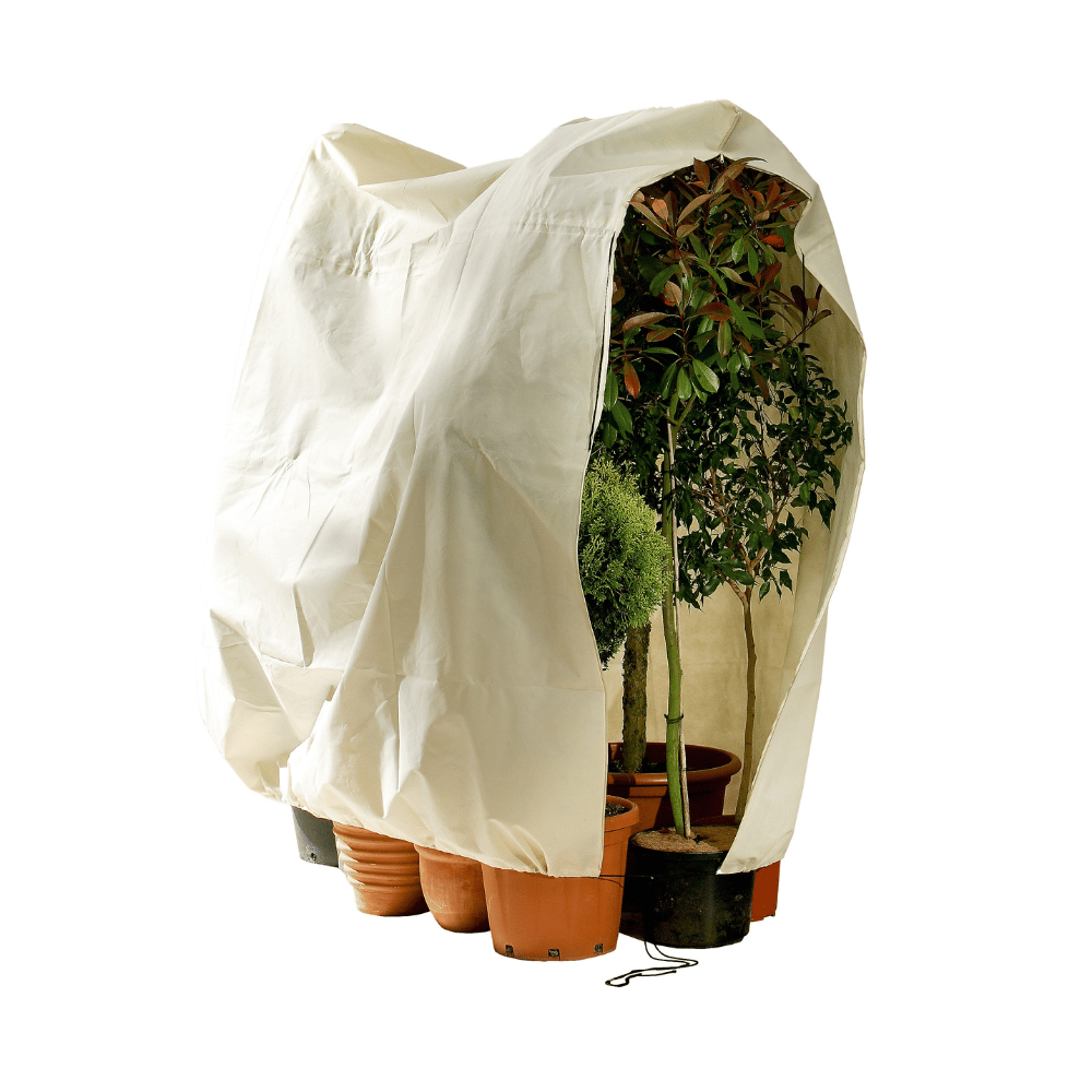 Frost Protection Pot Cover on multiple pots