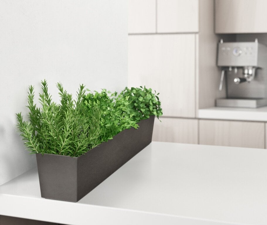 A slate-colored, rectangular window box trough planter made from recycled rubber, containing green plants, placed on a white surface with a kitchen setting in the background.