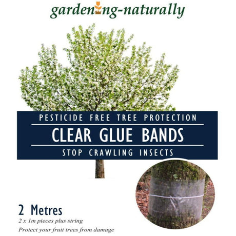 Glue Bands for Fruit Trees Clear Bands
