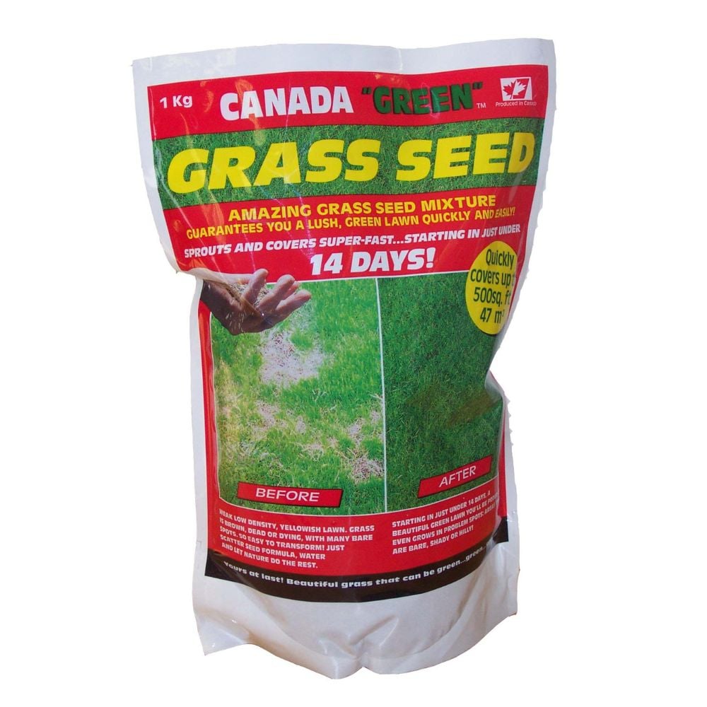 Canada Green Lawn Seed 1kg in red packaging