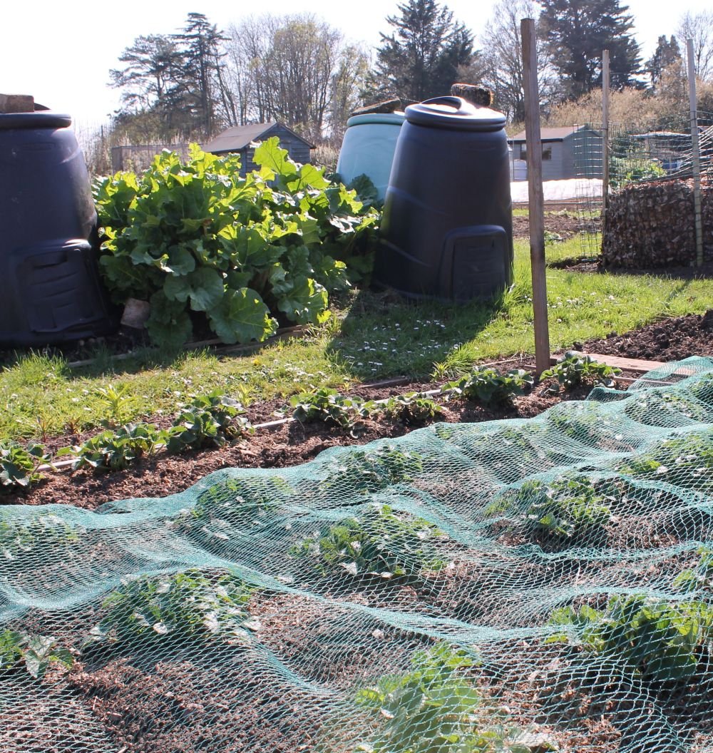 green bird netting over allotment and vege