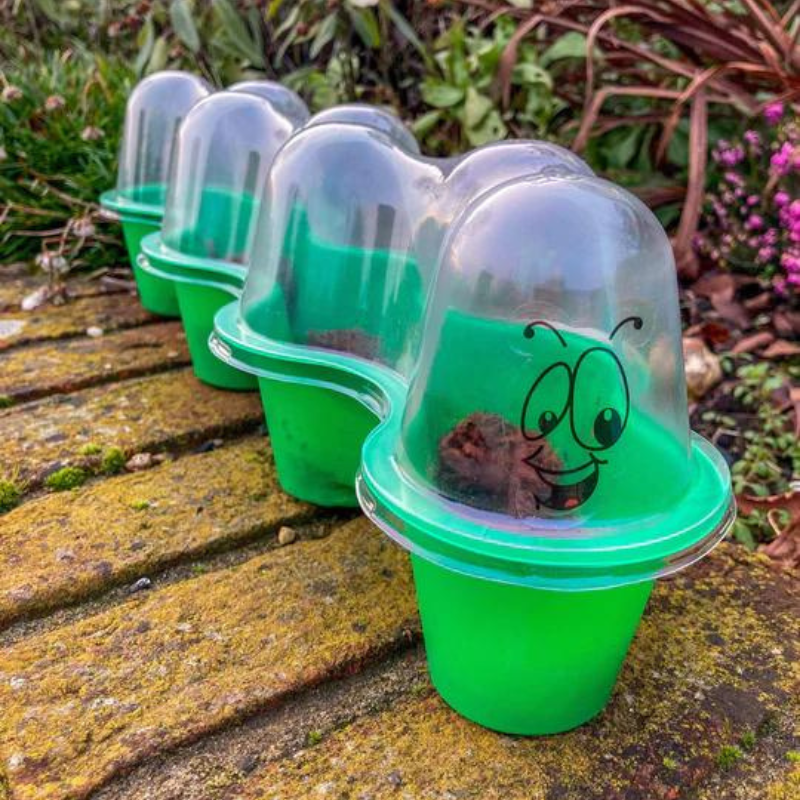 Green caterpillar mii greenhouse for children in the garden