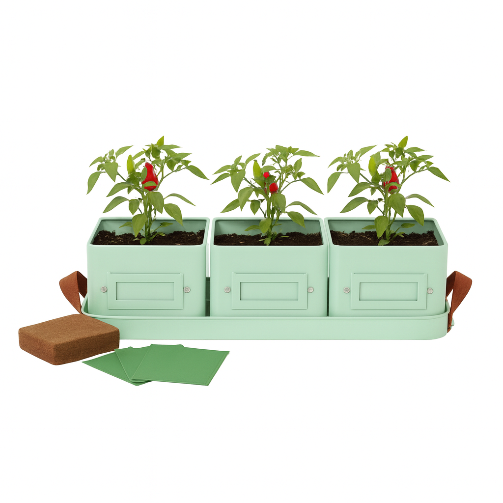 Green Chilli gift set