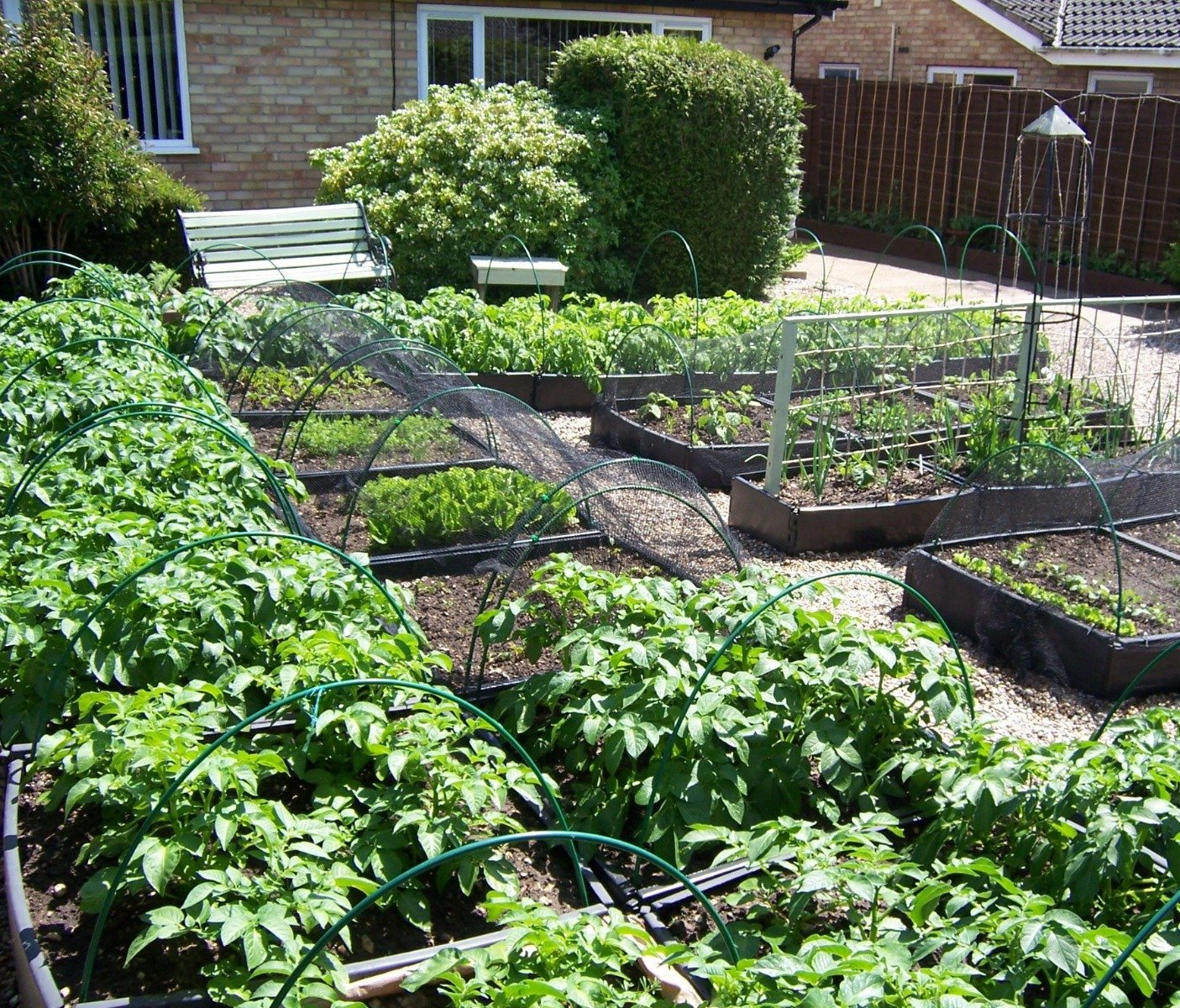 Flexible Garden Netting Tunnel Kits Complete With Choice Of Covers